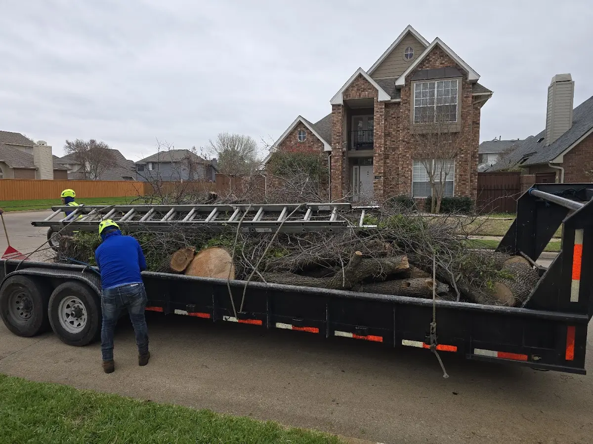 Expert Tree Removal with proper safety equipment in Big Clifty